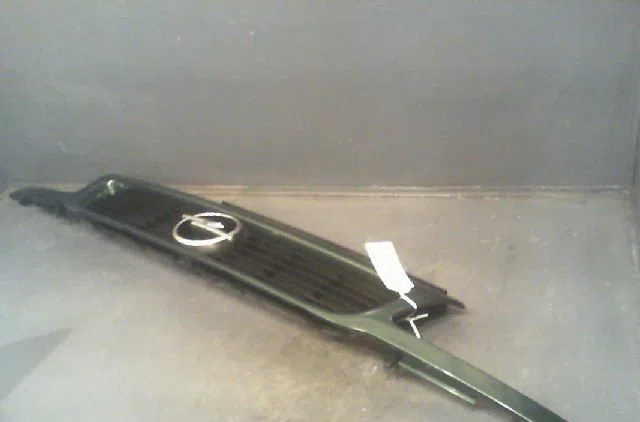 Calandre OPEL ASTRA 1998 occasion — photo 2