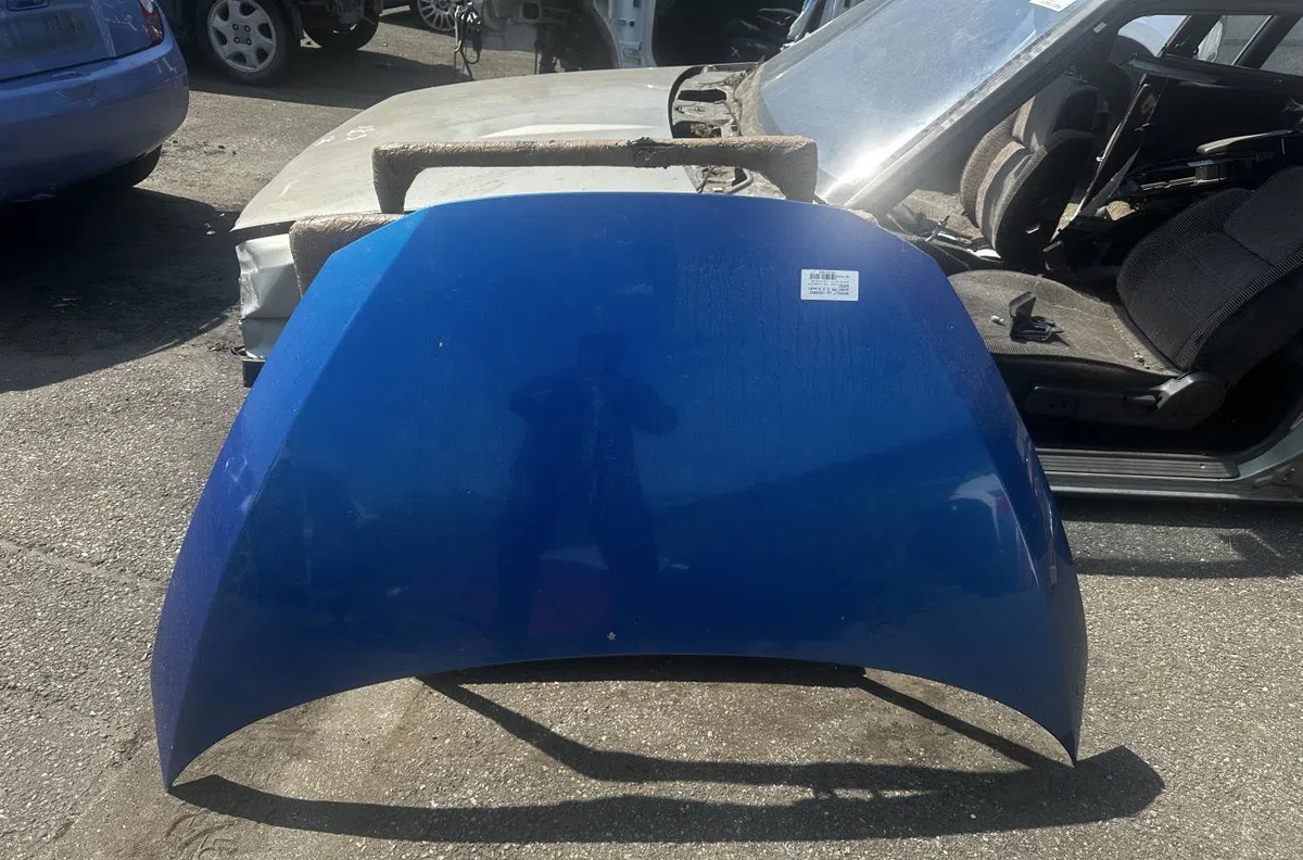 Capot Renault AVANTIME (DE0_) 2.2 dci (de01) (2002-2003) occasion — photo 2