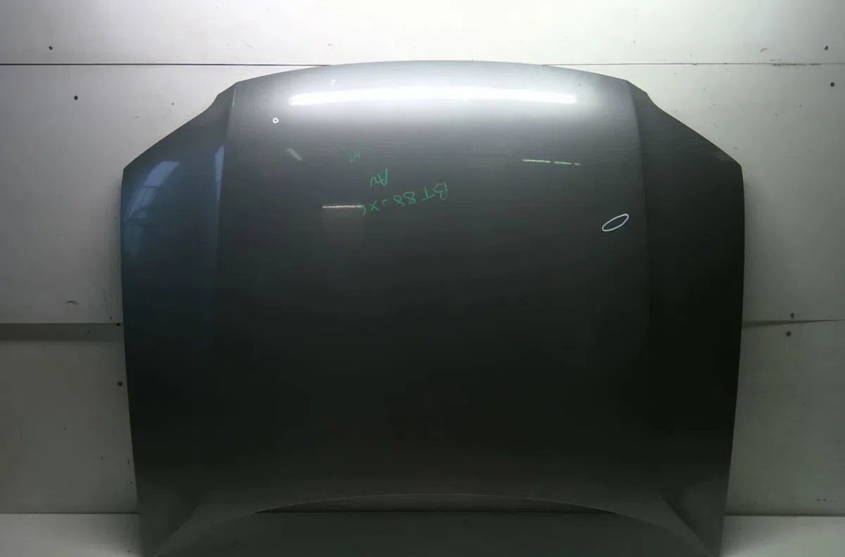 Capot Volkswagen PASSAT B5.5 (3B3) 1.9 tdi (2000-2005) occasion