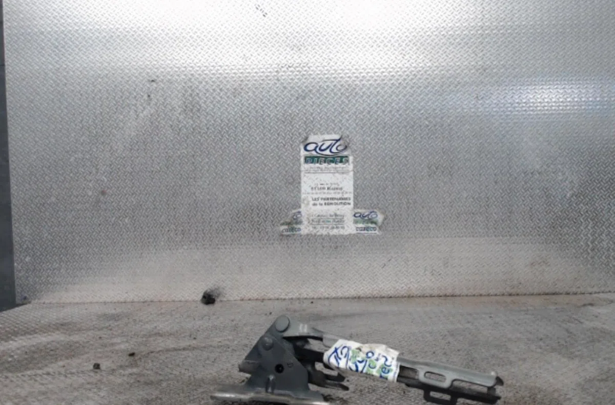 Compas g capot CITROEN C5 2  C5 2 BREAK occasion — photo 2