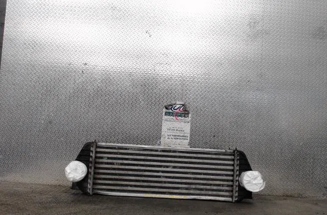 Echangeur air Ford TRANSIT CONNECT (P65_, P70_, P80_) 1.8 di (2002-2013) occasion
