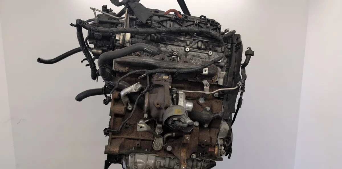 Moteur complet Ford FOCUS III 2.0 tdci (2010-2014) occasion