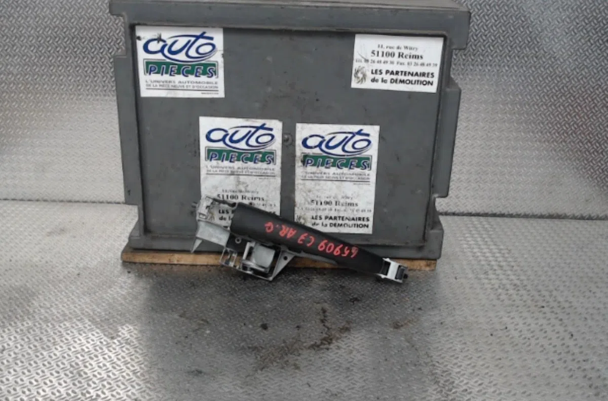 Poignee ext porte arg CITROEN C3 2  C3 2 PHASE 1 occasion