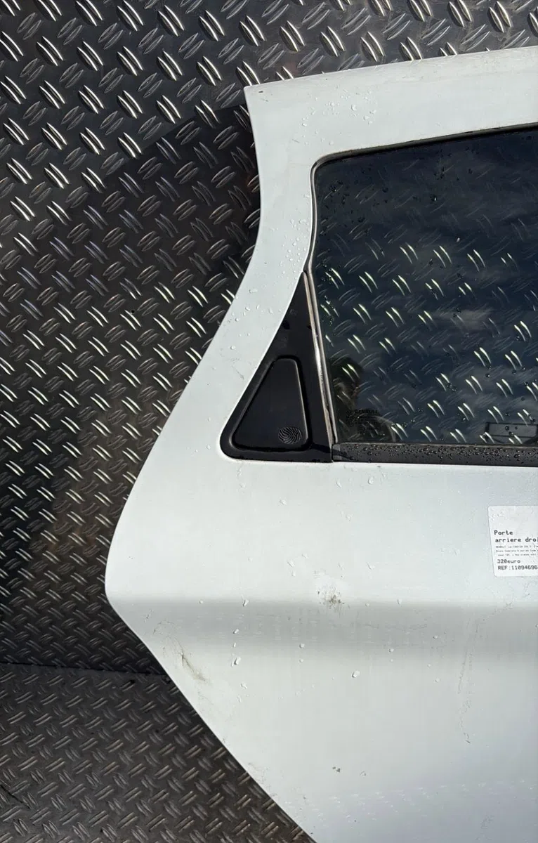 Porte arrière droite RENAULT ZOE 2 occasion