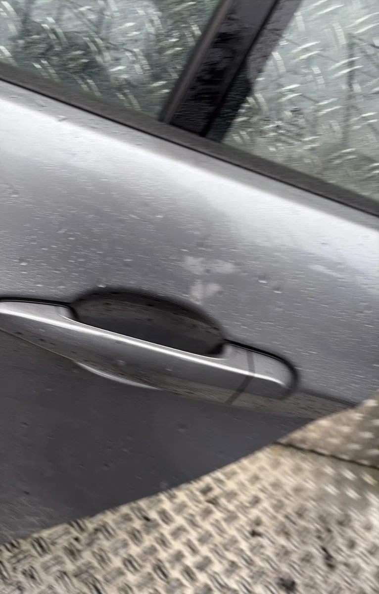 Porte arrière gauche Bmw 3 Touring (E91) 318 d (2005-2007) occasion