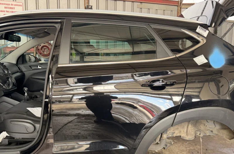 Porte arriere gauche pour HYUNDAI TUCSON 2 PHASE 1