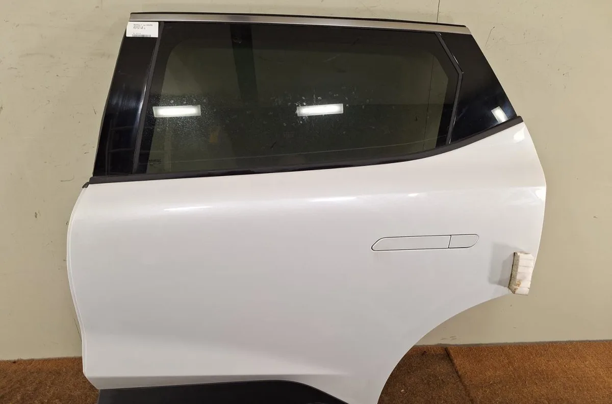 Porte arrière gauche Renault SCENIC E-TECH PHASE I Ev87 (2023) occasion