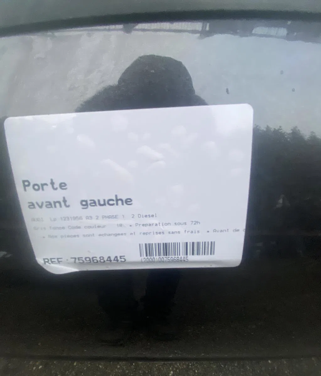 Porte avant gauche AUDI A3 2 PHASE 1 occasion