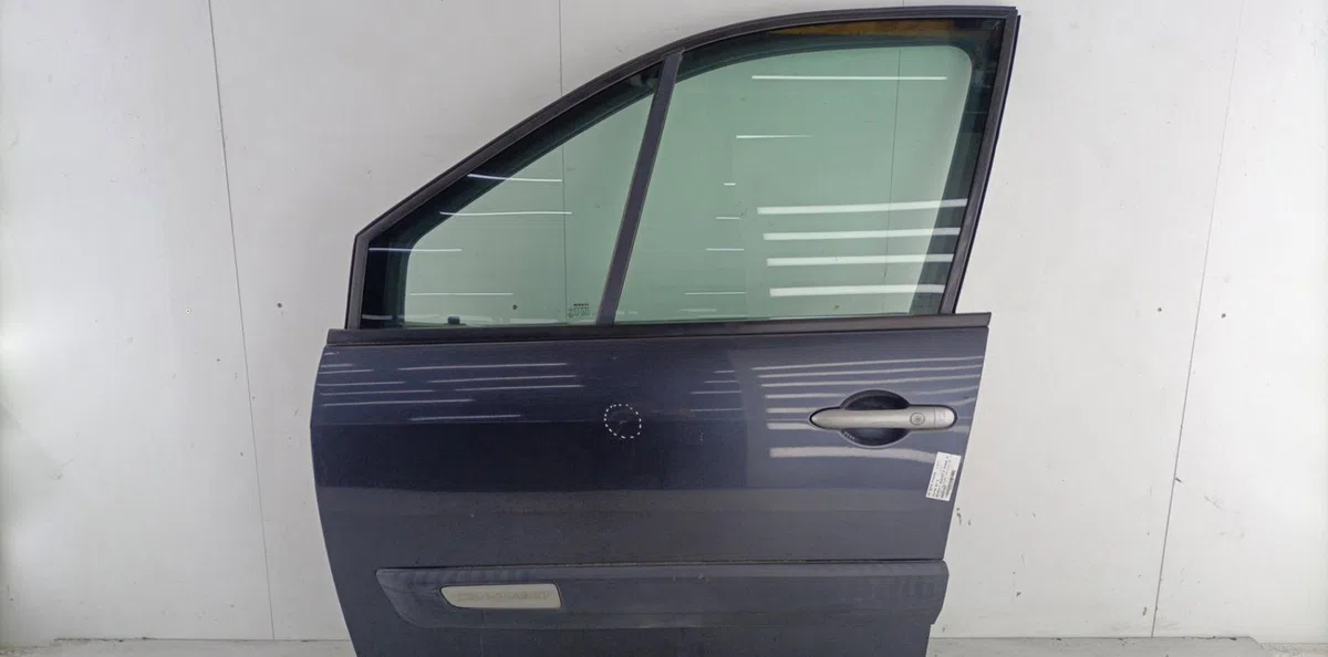 Porte avant gauche RENAULT SCENIC 2 PHASE 2 occasion