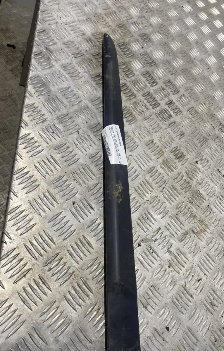 Protection porte arg RENAULT CLIO 3 PHASE 1 occasion