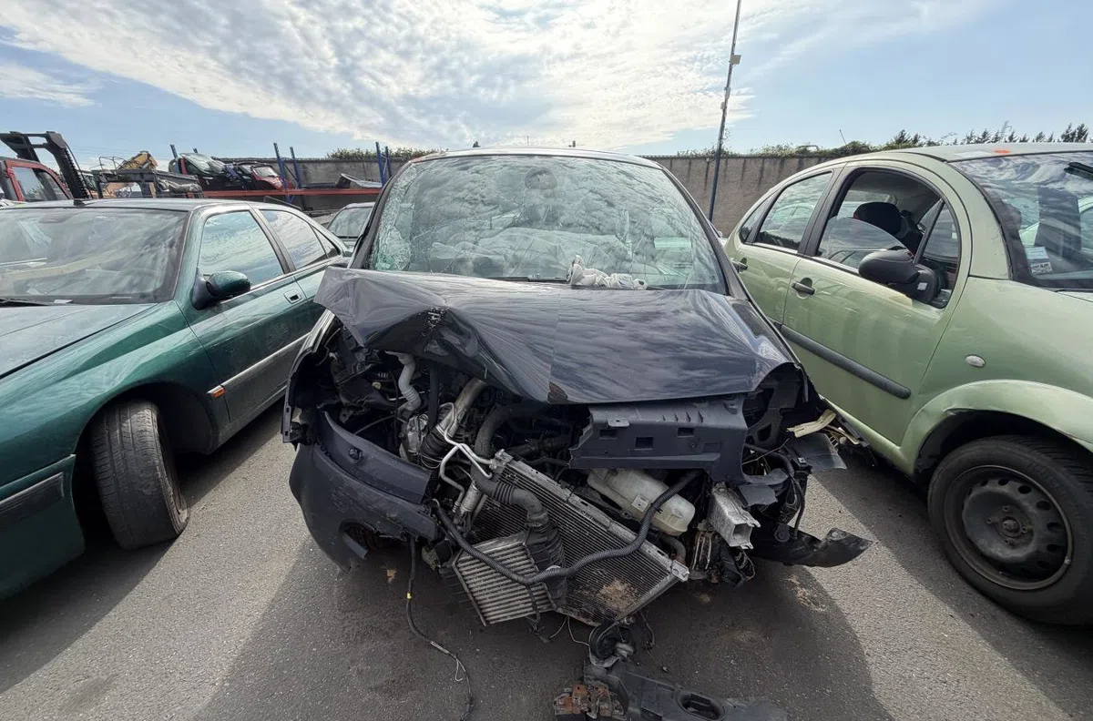 Serrure porte avd RENAULT MODUS PHASE 1 occasion