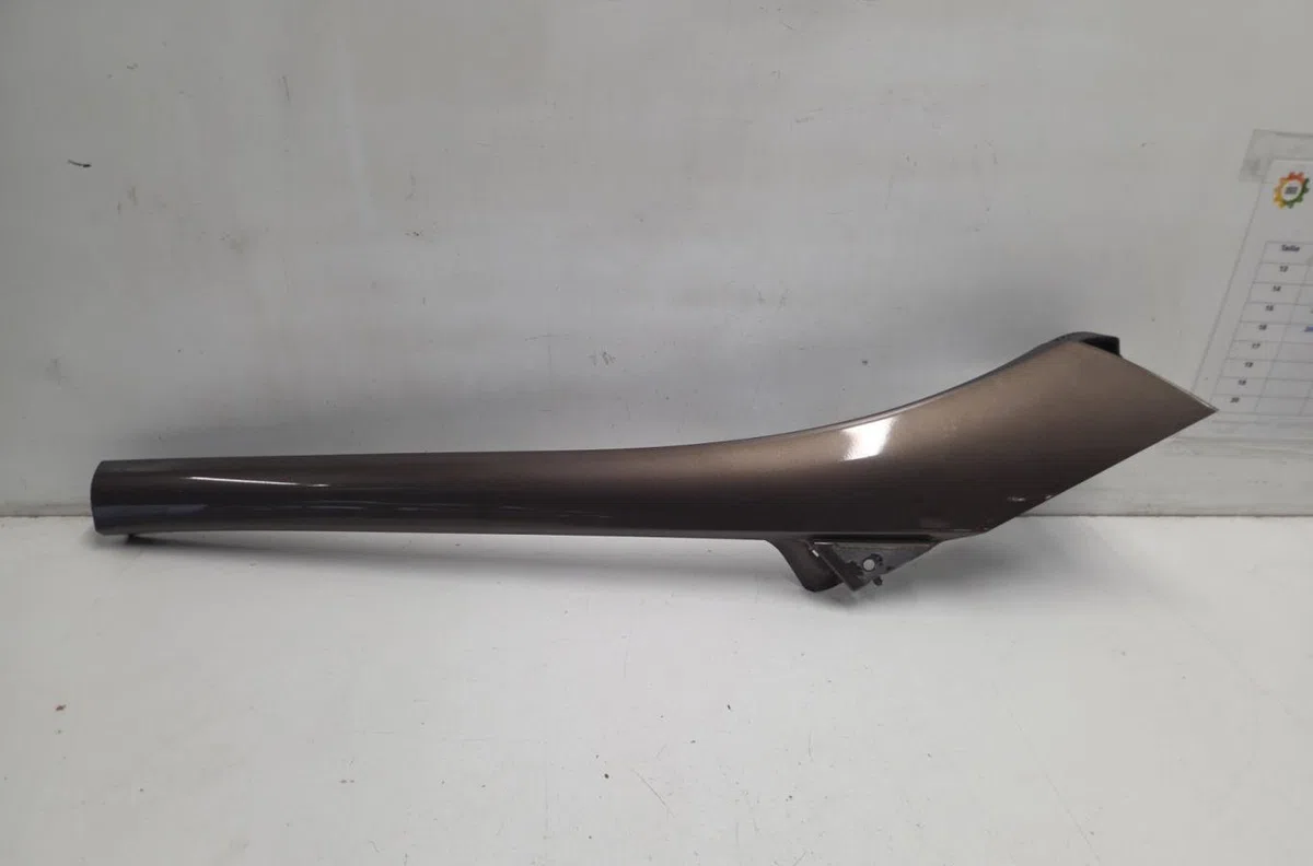 Tole auvent pare-brise RENAULT SCENIC 3 PHASE 2 occasion