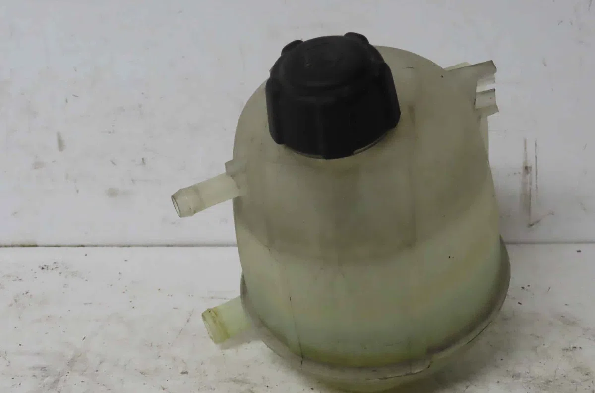 Vase expansion RENAULT SCENIC  I occasion