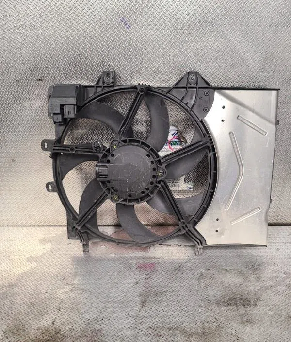 Ventilateur de refroidissement CITROEN C3 3  C3 3 PHASE 1 occasion